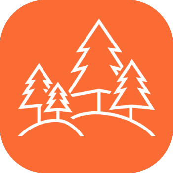 Forest Icon